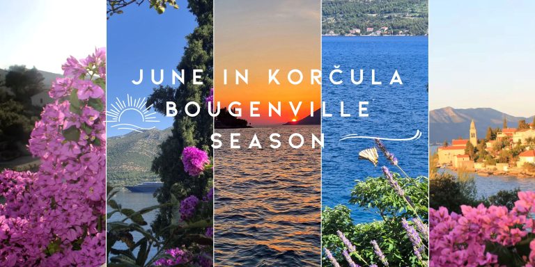 June in Korčula: Bougainvillea Season, Warm Evenings, and the Island at Its Best
